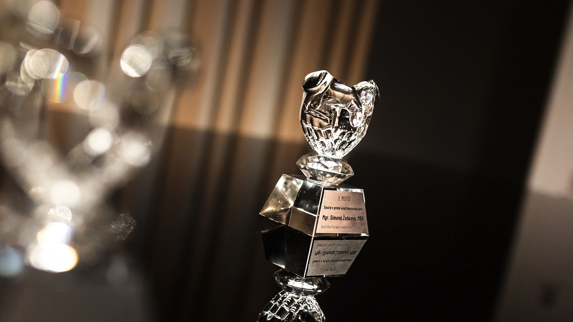 Sestra Pardubického kraje - Galerie