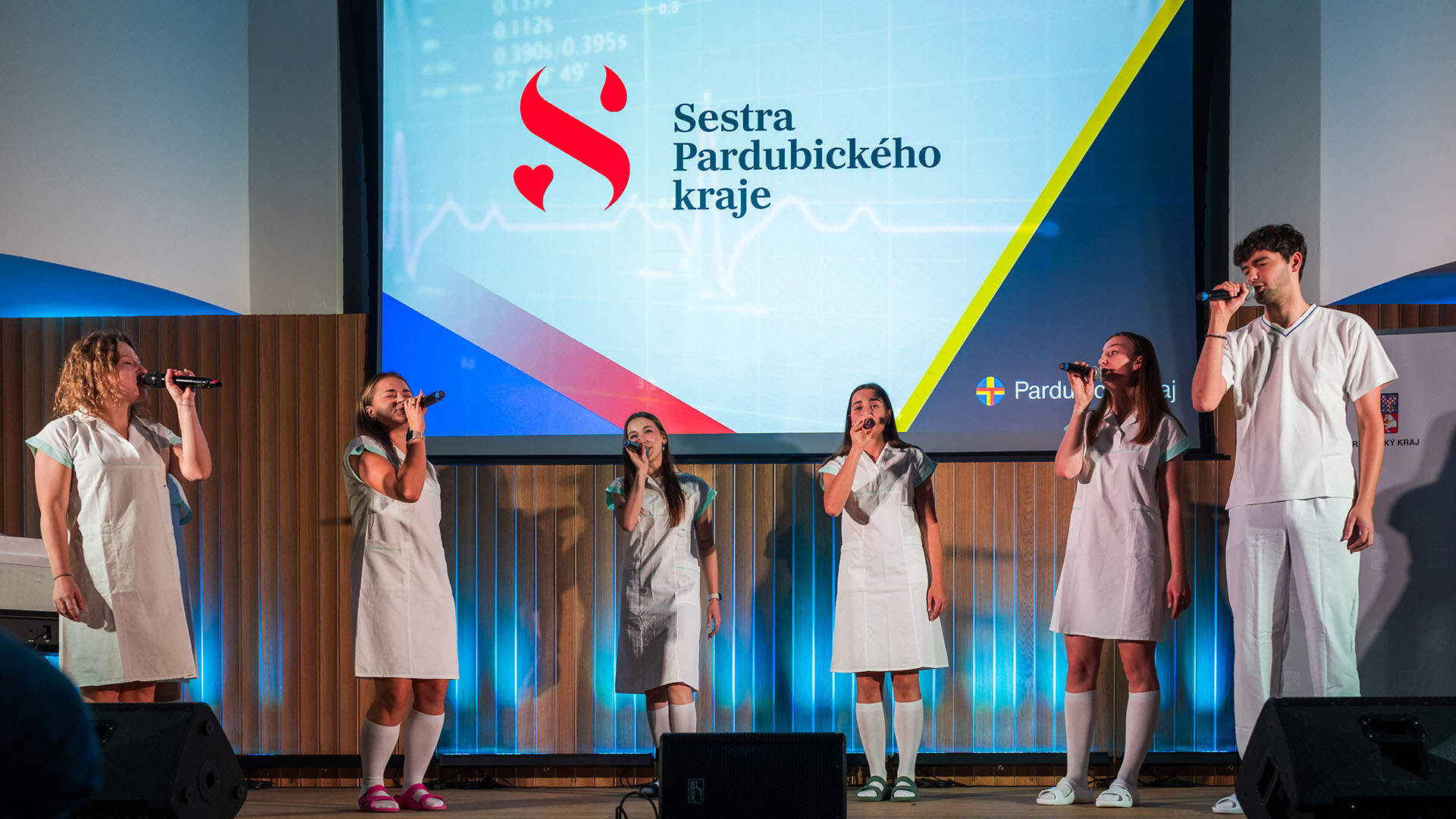 Sestra Pardubického kraje - Galerie