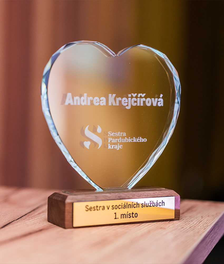 Sestra Pardubického kraje - Minulý ročník